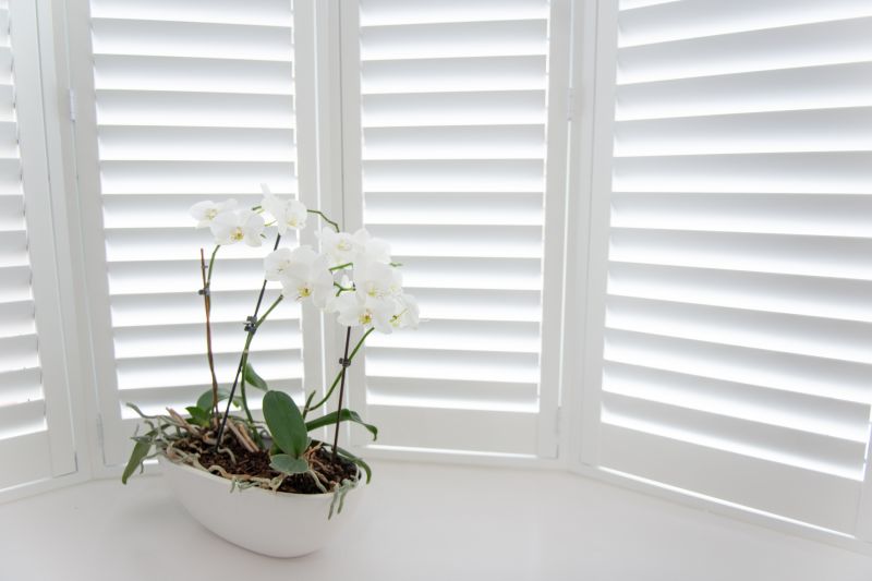 Shutters Installation in Denver, CO